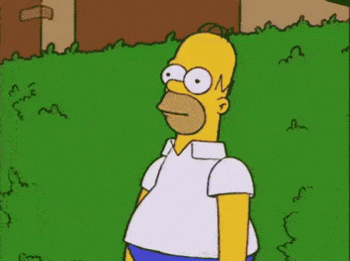 Homer Fading Meme