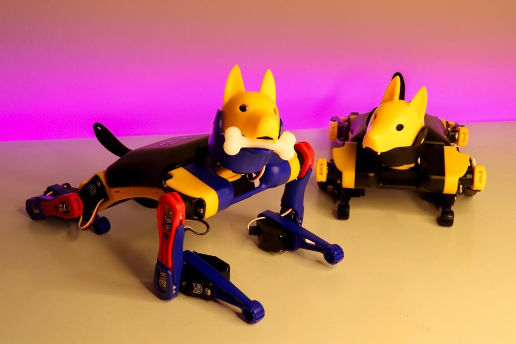 Two Petoi Bittle robot dogs under pink and blue lighting