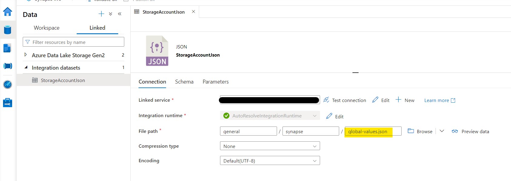 SynapseDataset